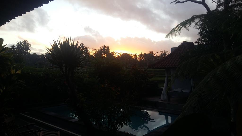 Vila Anastasia