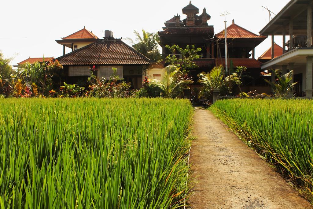 Cenik House *