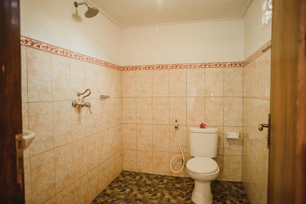 Wayan Guest house *