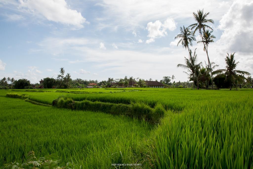 Villa Riverview Gardens *