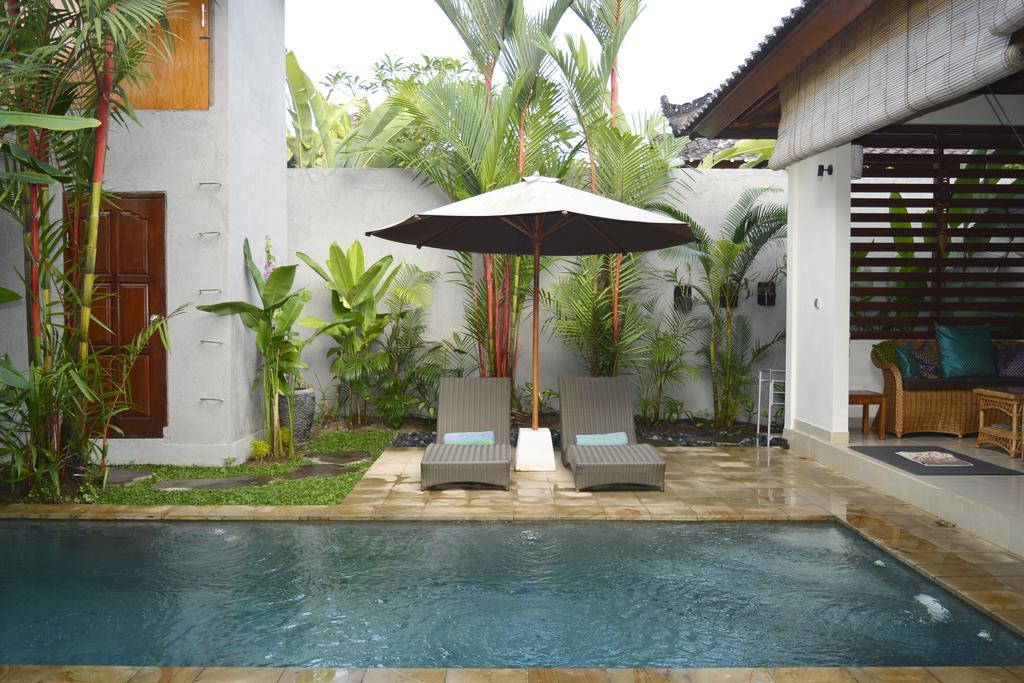 Palm Kuning