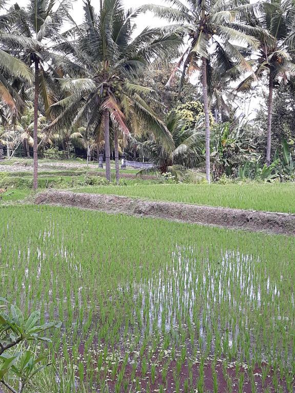 Umah Dangin Guest house
