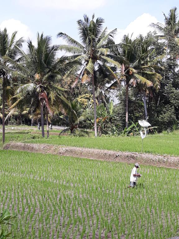 Umah Dangin * Ubud (Bali)