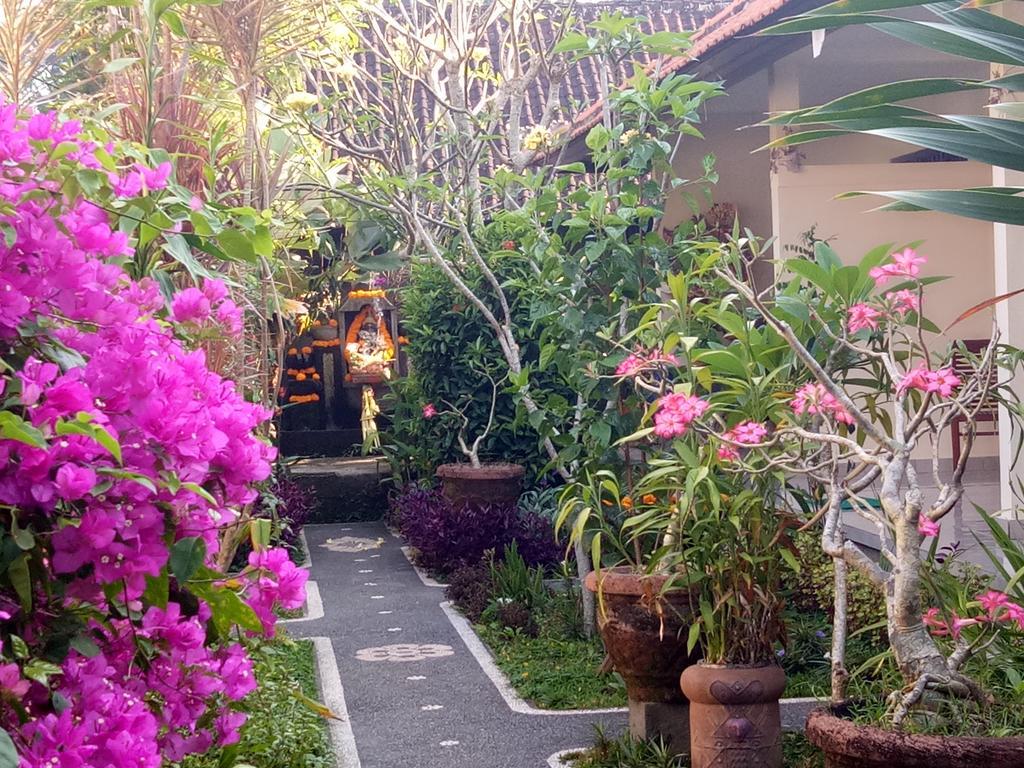 Guest house Krisda