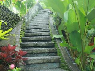 Jati Guest house