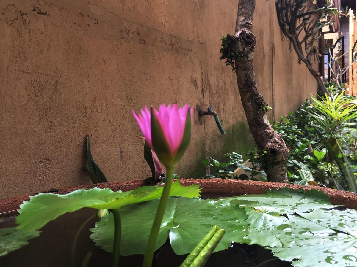 Bulan Bali * Ubud (Bali)
