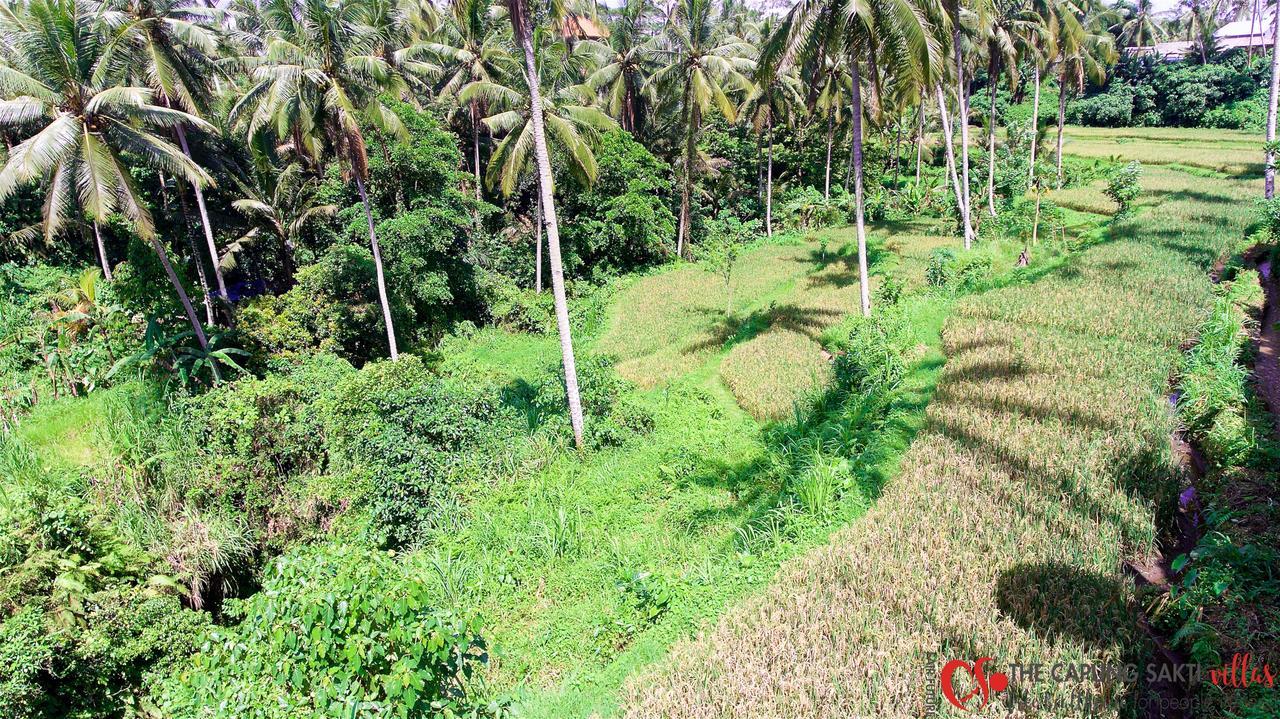 Capung Sakti 4* Ubud (Bali)