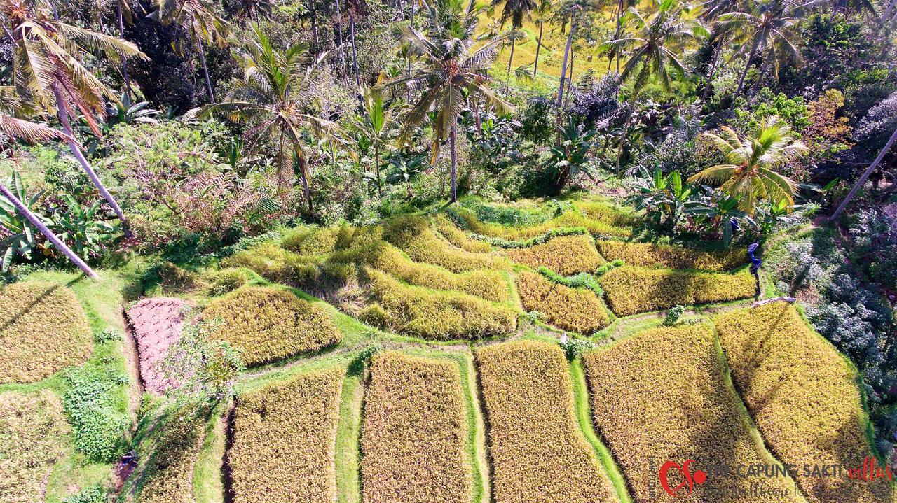 Capung Sakti