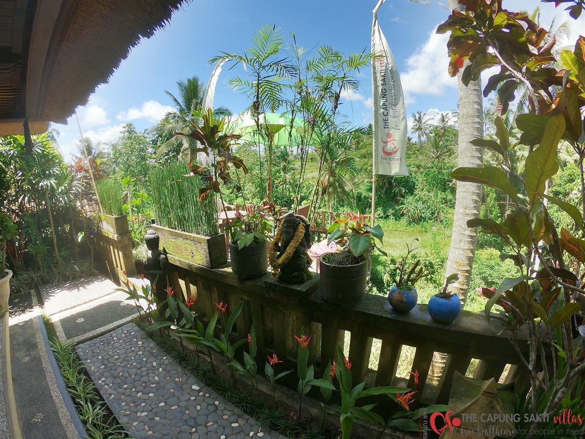 Resort Capung Sakti Ubud (Bali)