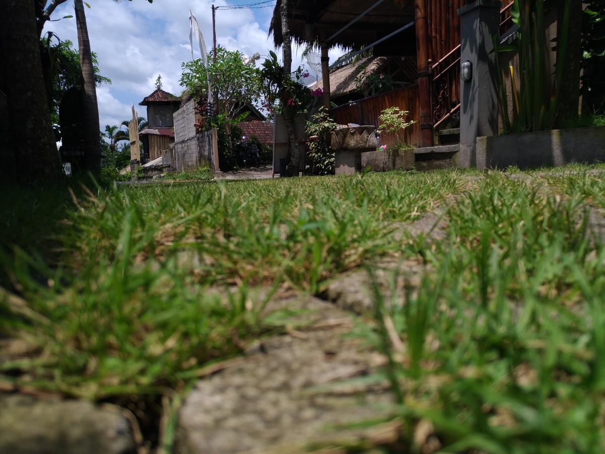 Mekenyem House Guest house Ubud (Bali)