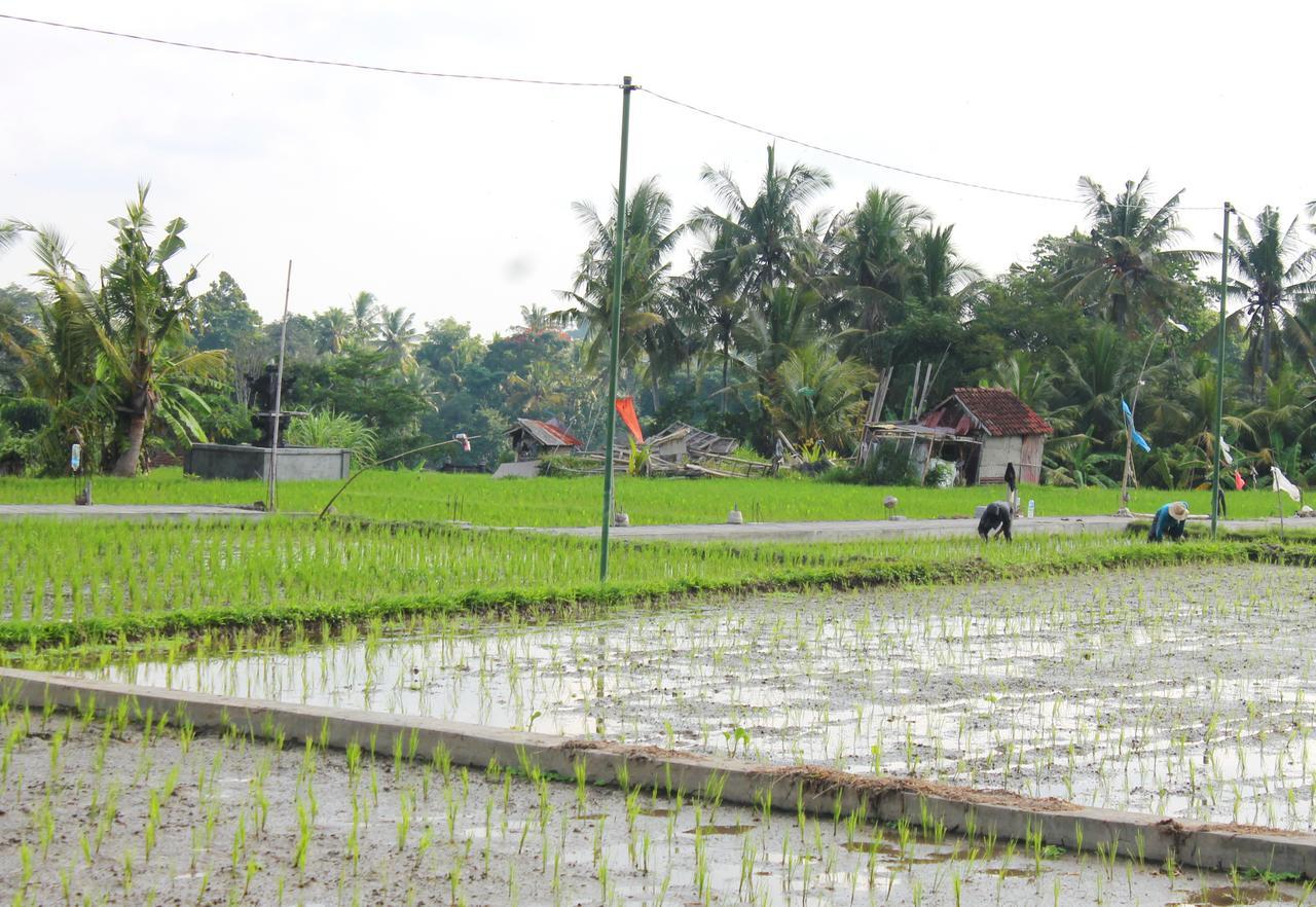 Permana Ubud Cottage Ubud (Bali)