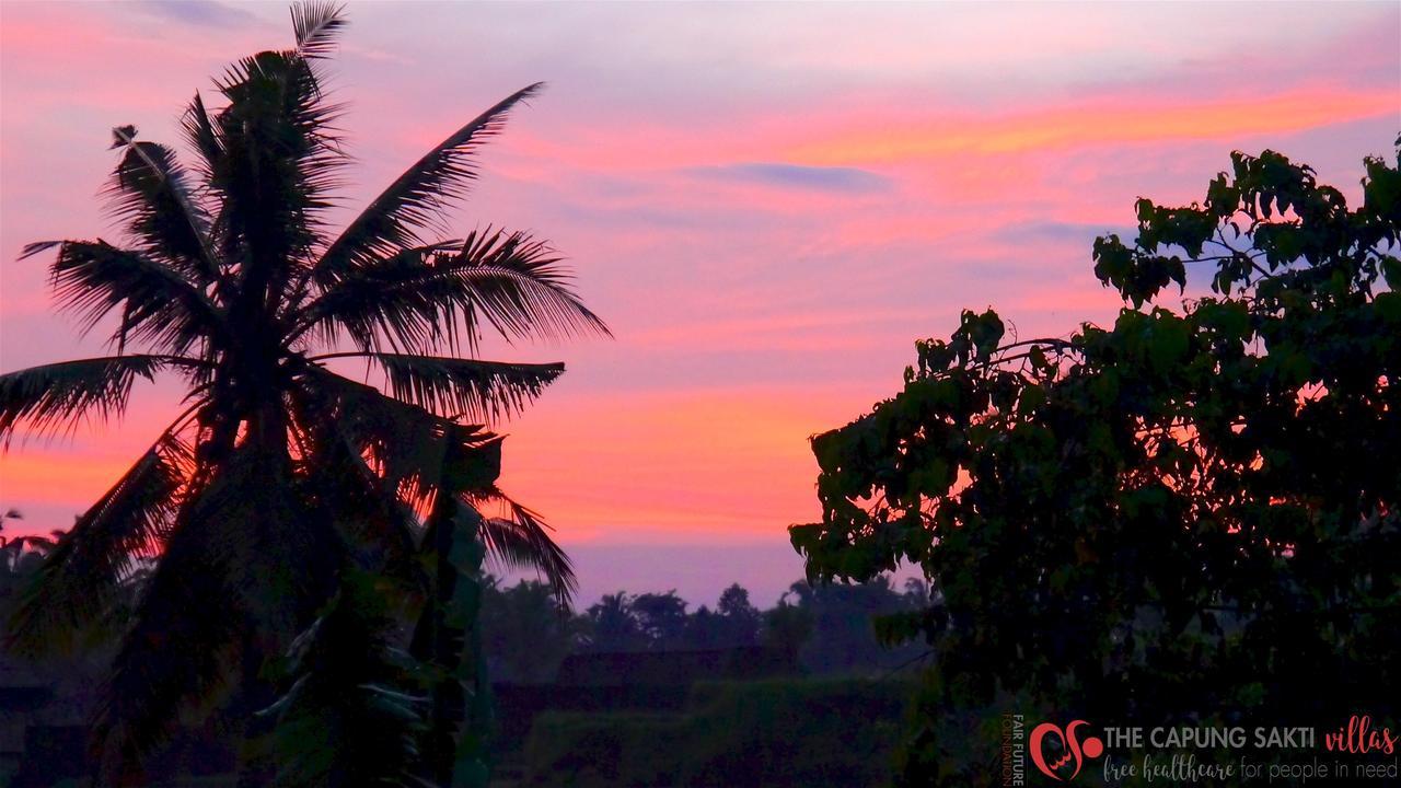 Capung Sakti 4*