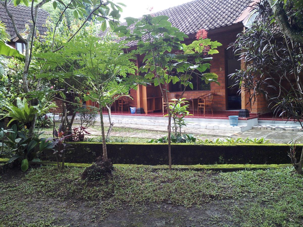 Madra Guest house Ubud (Bali)