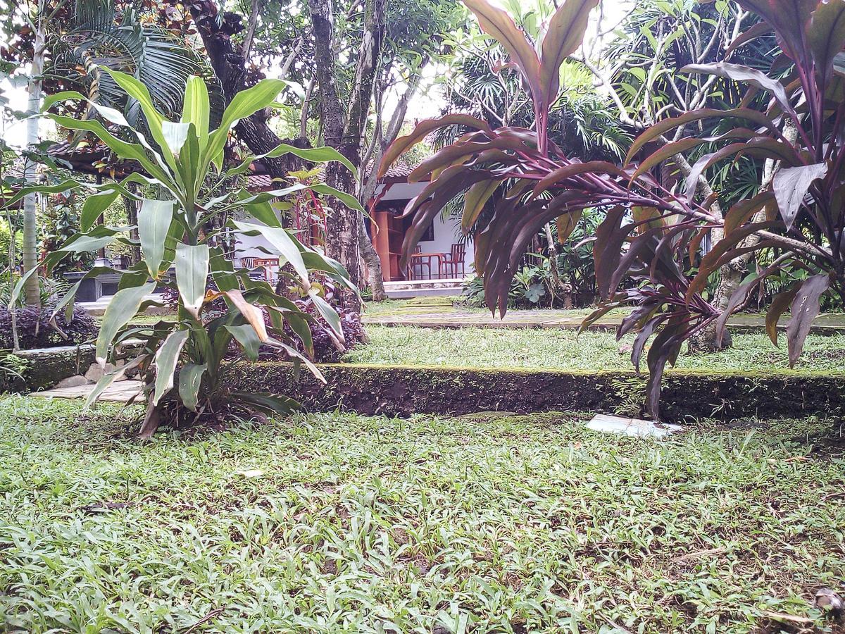 Madra Ubud (Bali)