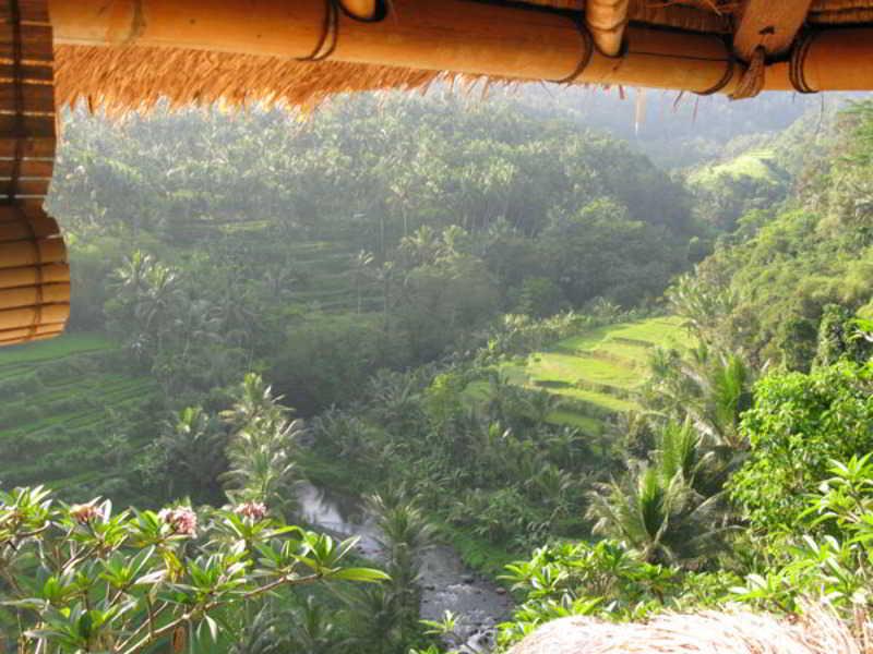 Resort Taman Bebek Bali Ubud (Bali)