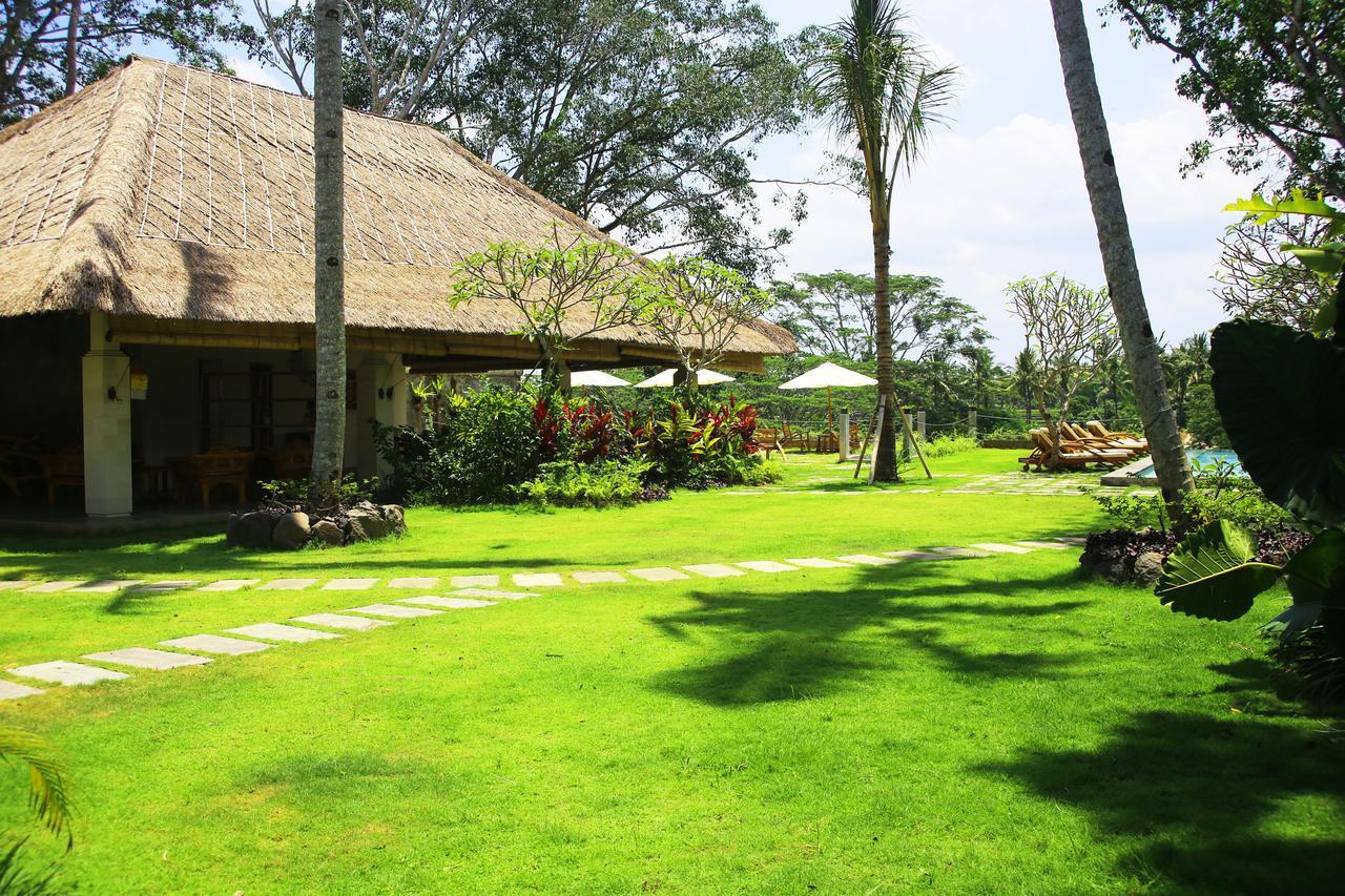 Hotel The Pandora