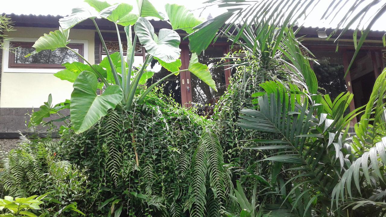 Guest house Gaufando 2*