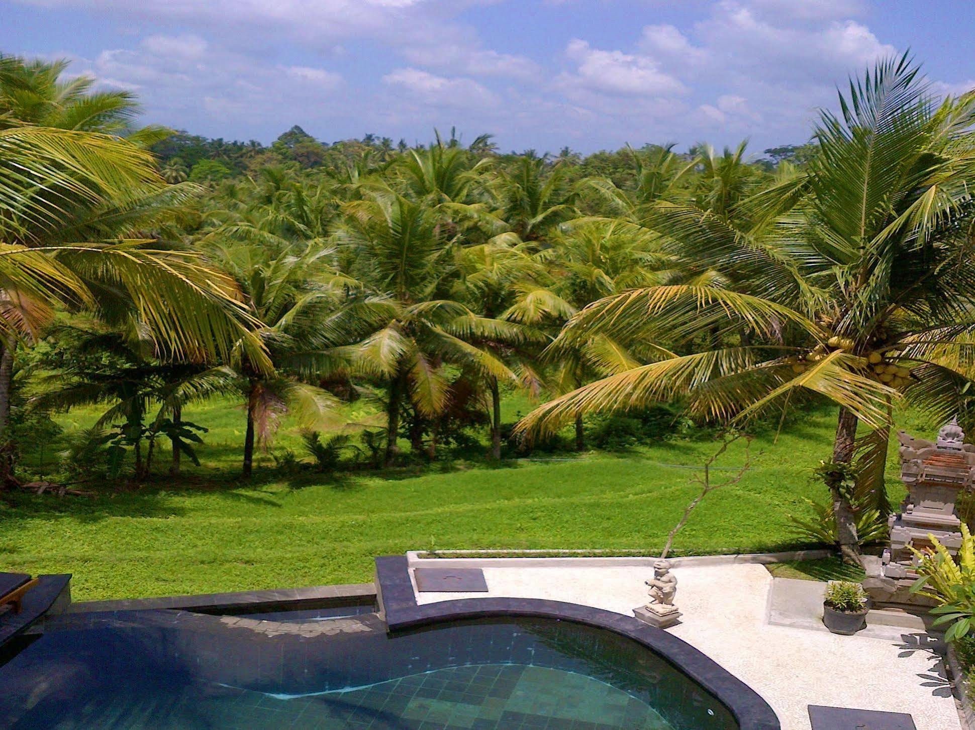Gasthuis Dewa House Bisma Ubud