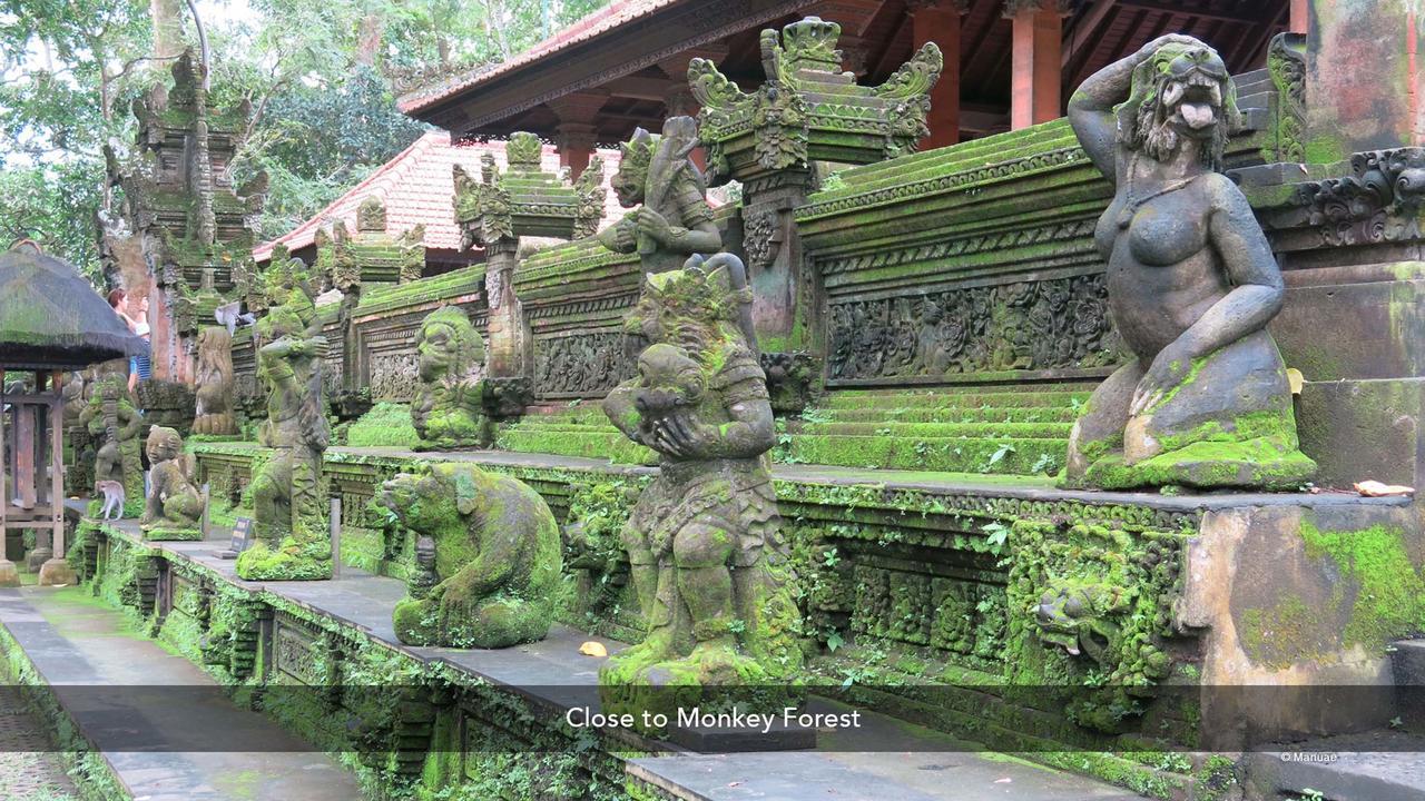 Zen Premium Pegosekan 3 Ubud (Bali)
