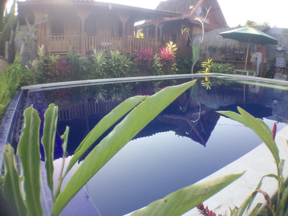 Paddy & * Ubud (Bali)