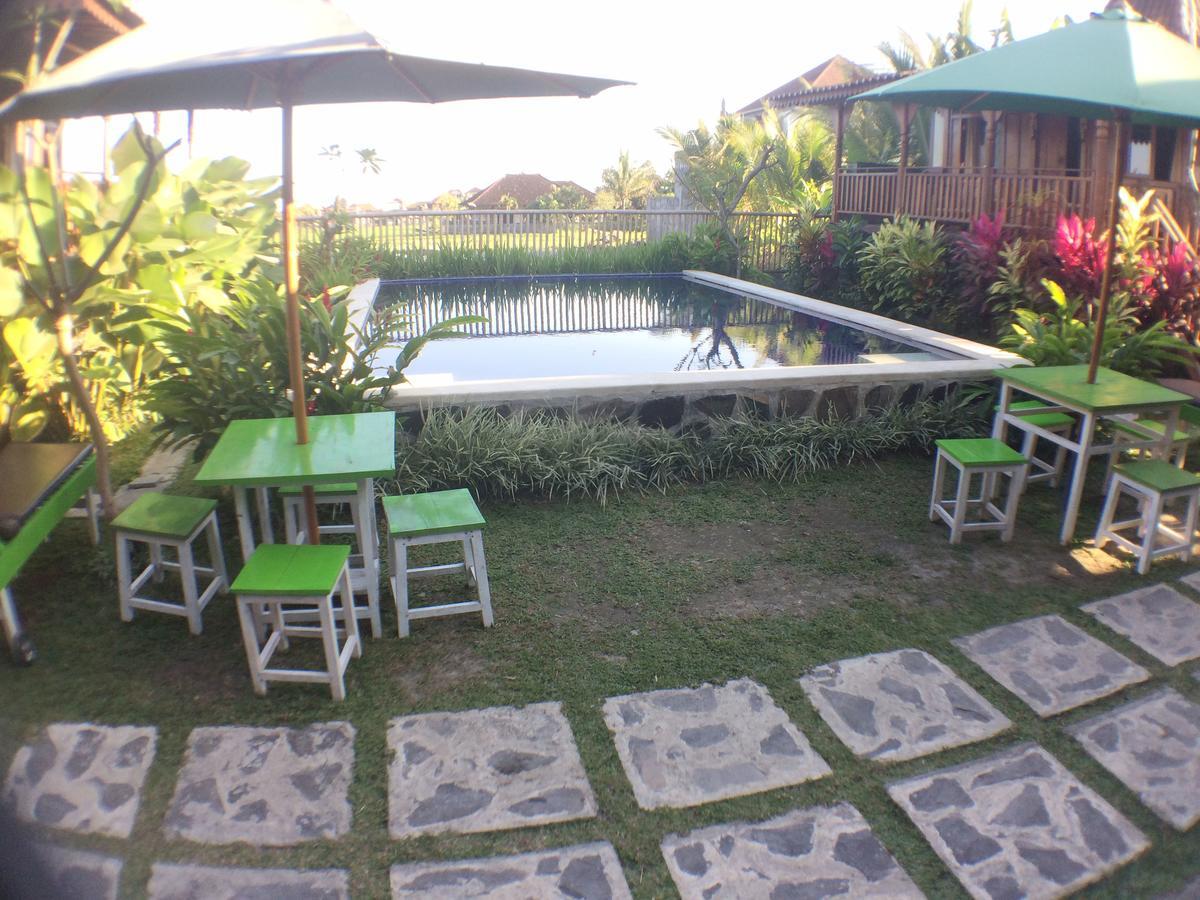 Paddy & Hostel Ubud (Bali)