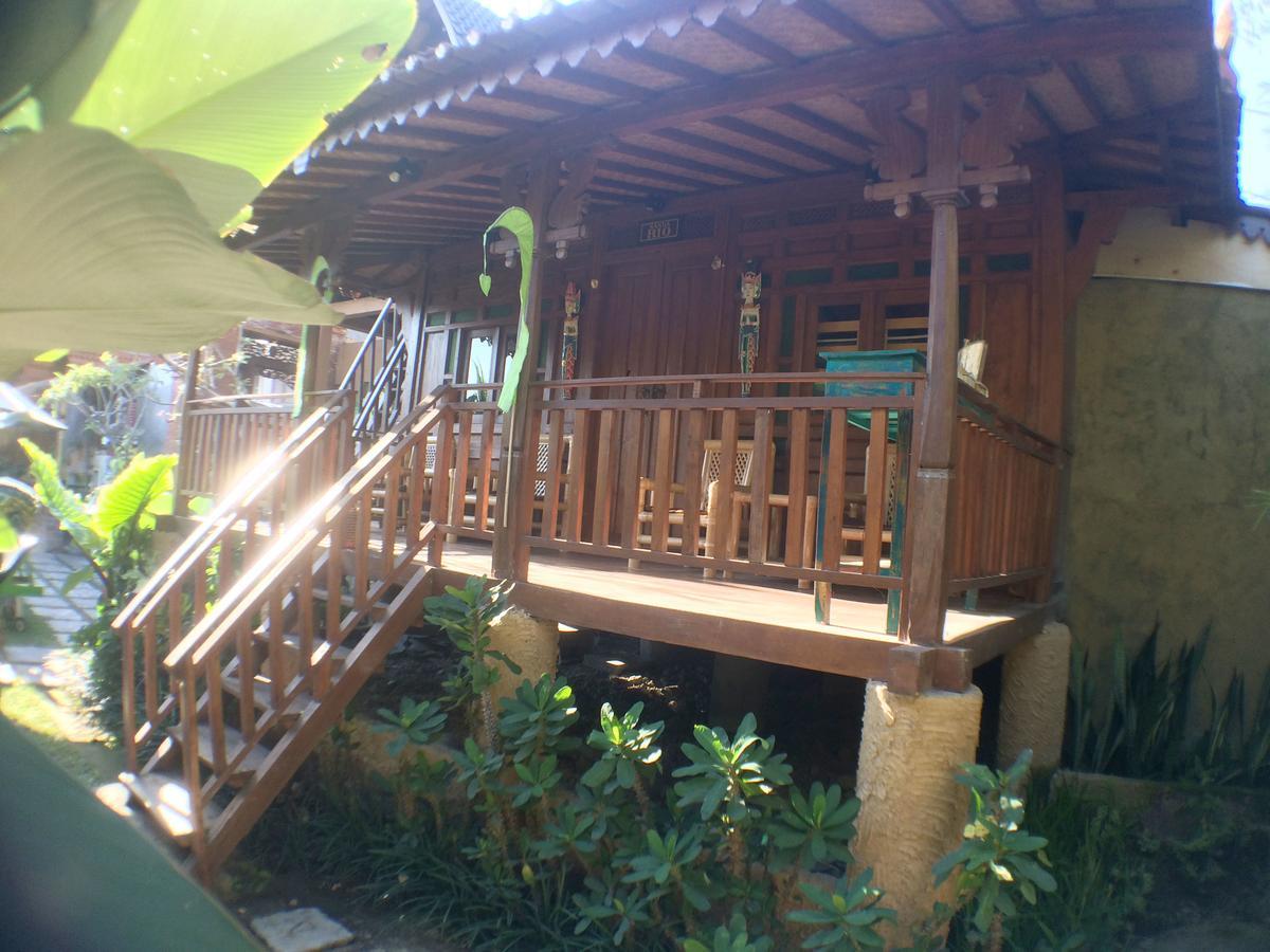 Hostel Paddy &