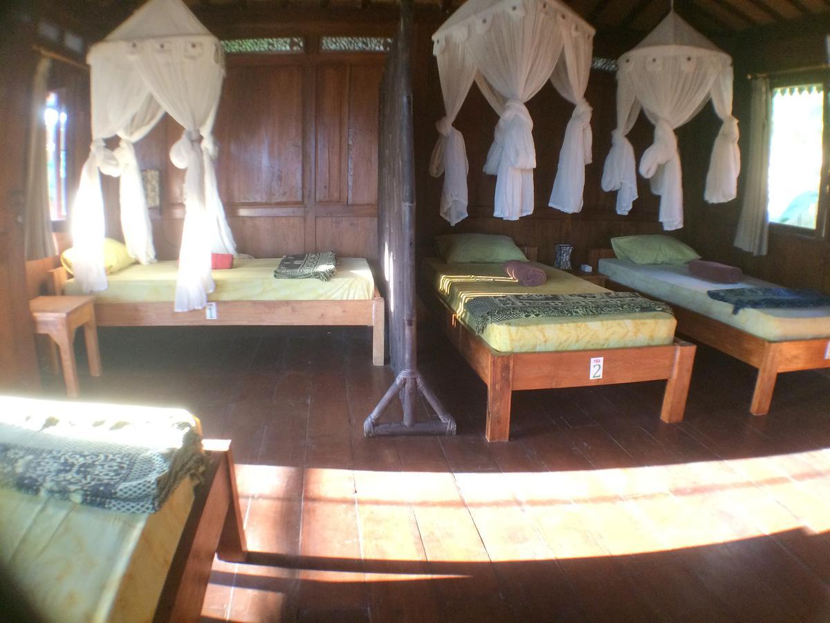 Albergue Paddy & Ubud