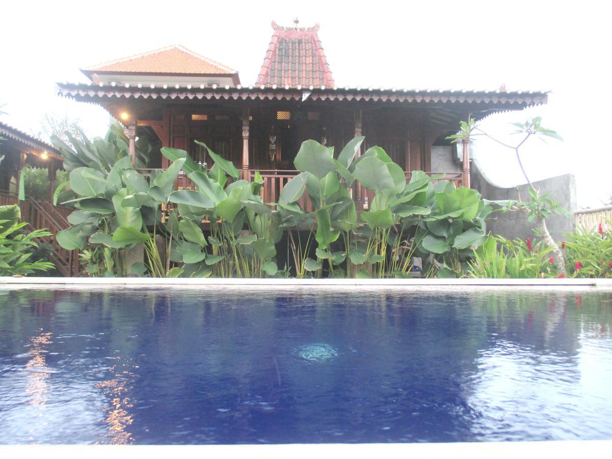 Hostel Paddy & Ubud (Bali)