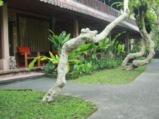 Guest house Jati
