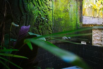 Awang Awang * Ubud