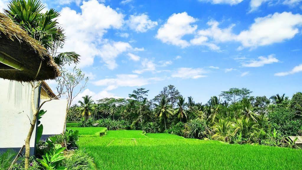 Amatara Abirama Vila Ubud (Bali)