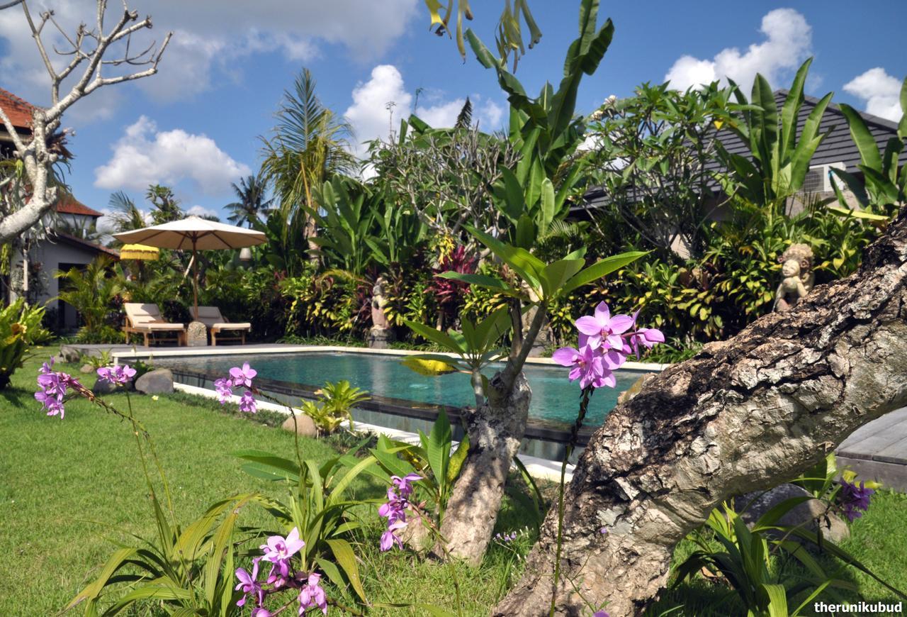 Guest house The Runik 3*