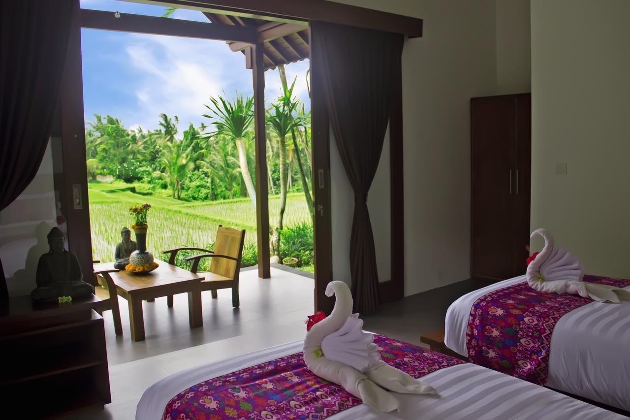 Villa Kicen *
