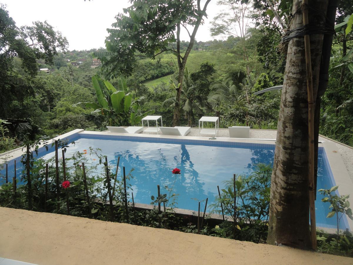 Putu Yoga 2* Ubud (Bali)