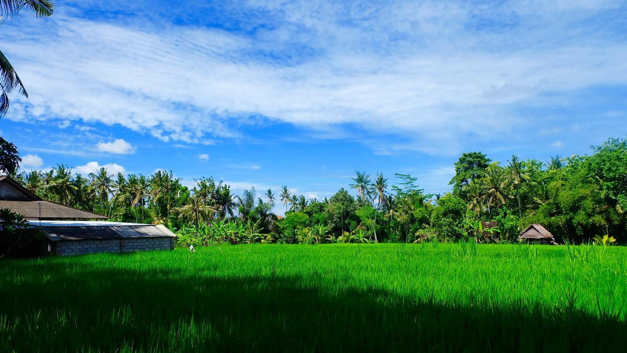 Guest house Wiki Bali 3*