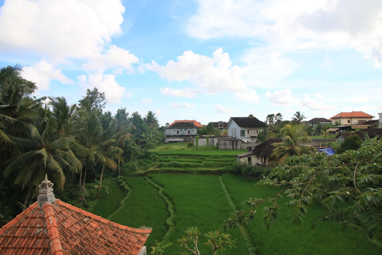 Guest house Sunshine 3*