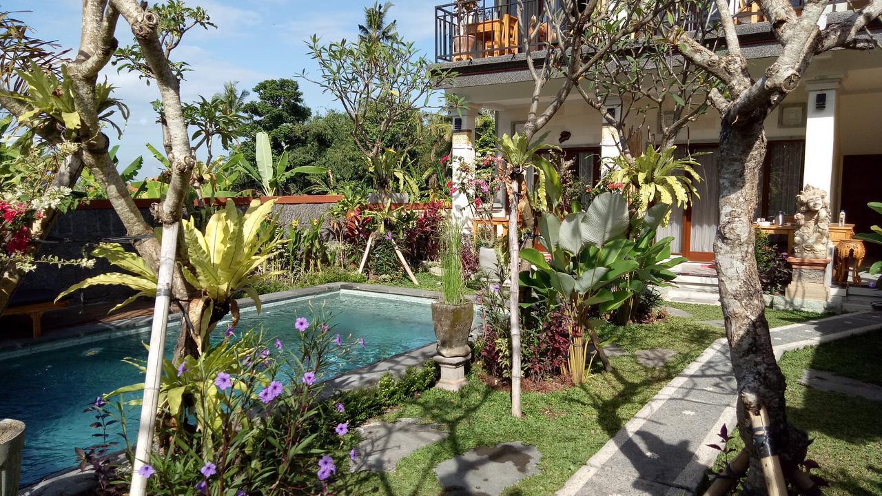 Guest house Kubu Loris