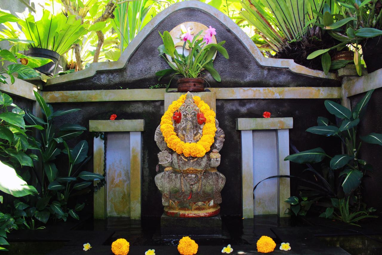 Amomaya *