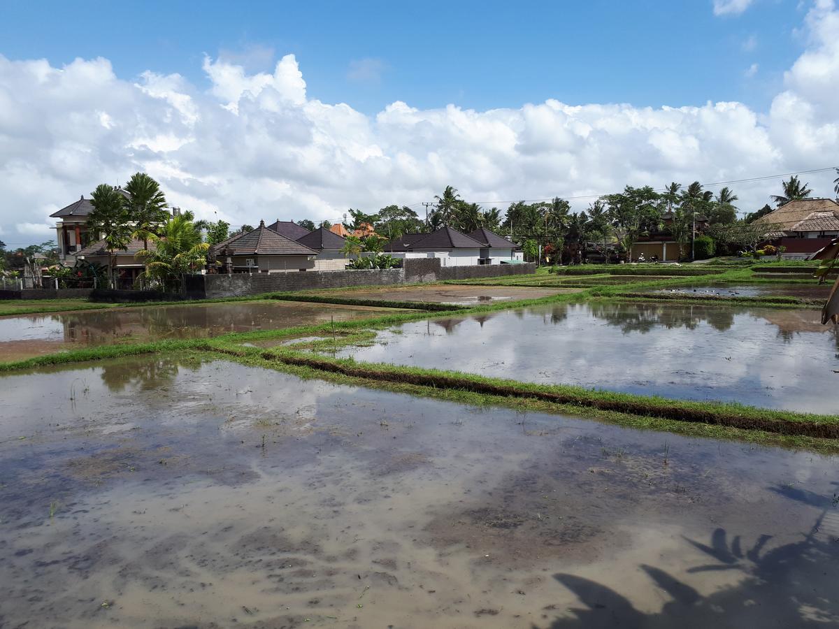 Kirani By Mahaputra-chse Certified Villa *