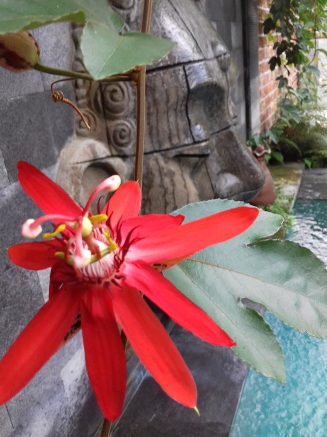 Villa Ketut Kartika *