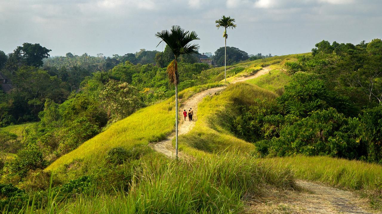 Neyang Ubud (Bali)