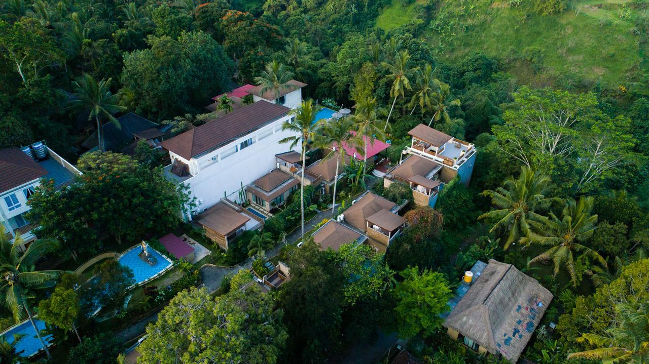 Ashoka Tree At Tanggayuda Resort