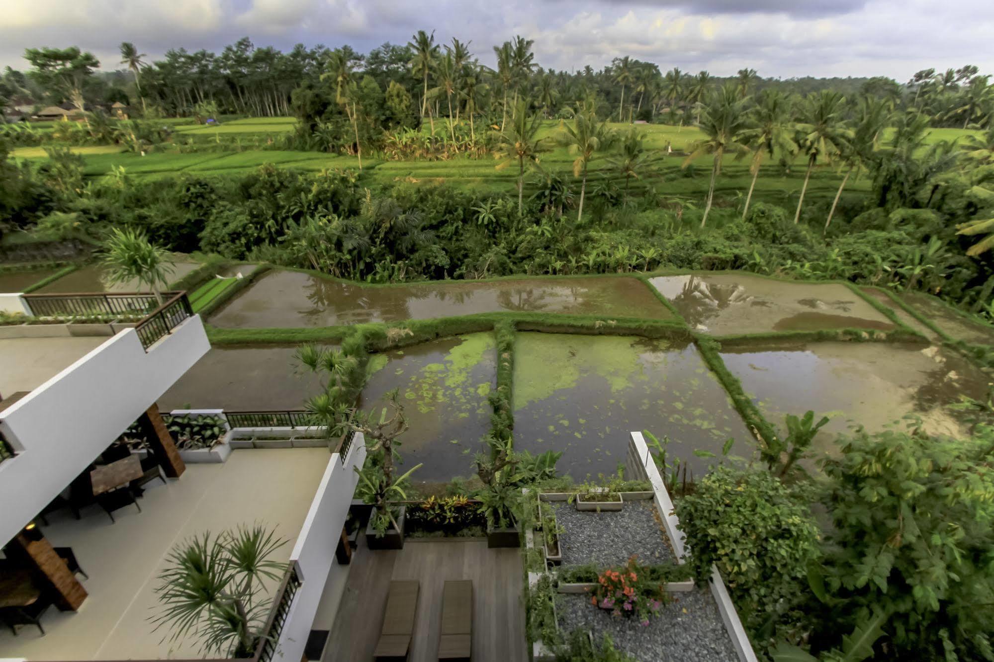 Puri Padma 3* Ubud