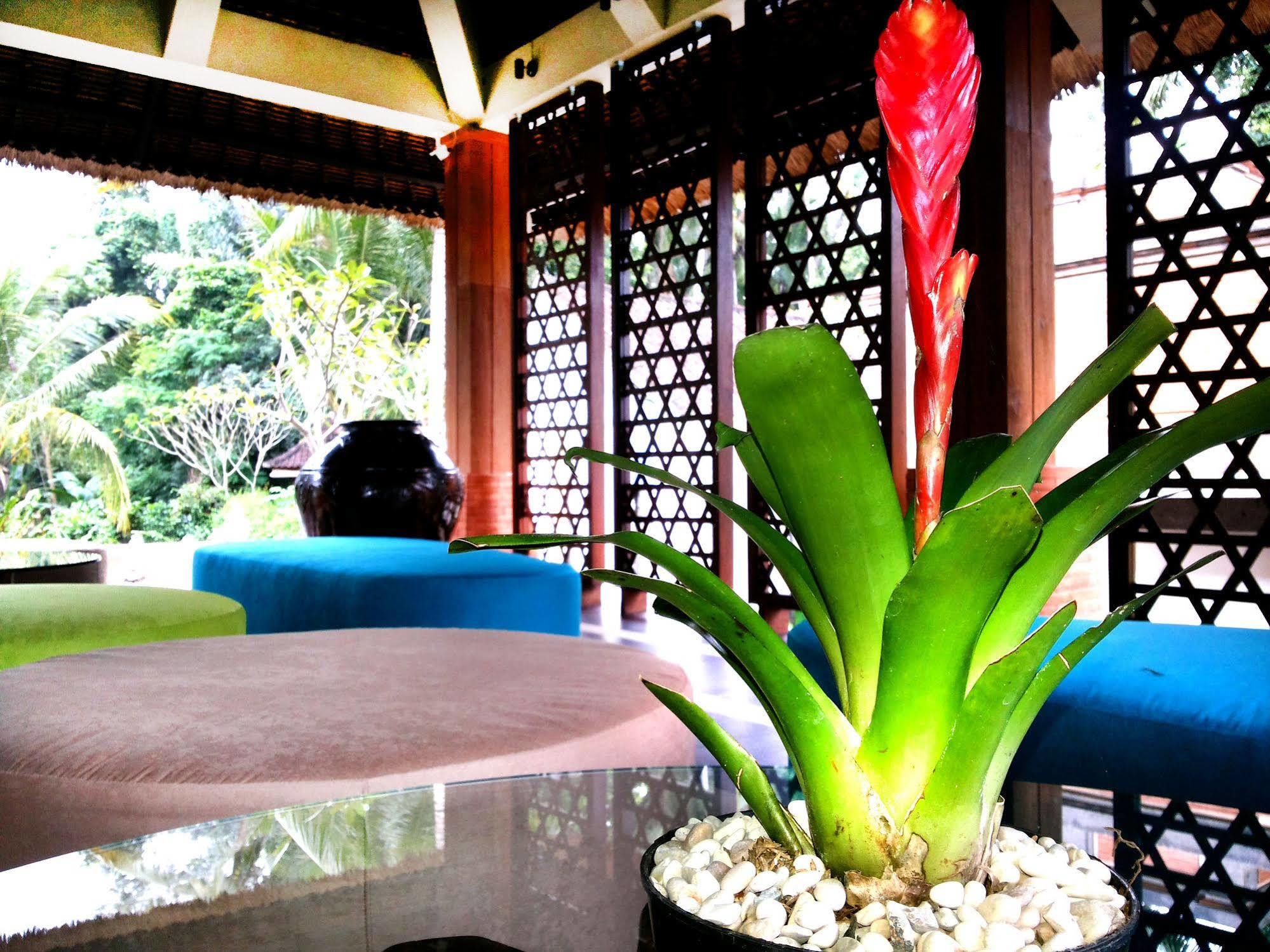 Holiday park Full Moon Ubud (Bali)