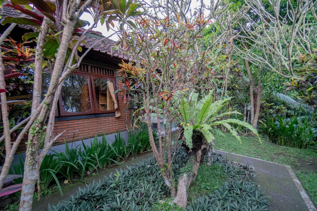 Manuaba Guest house *