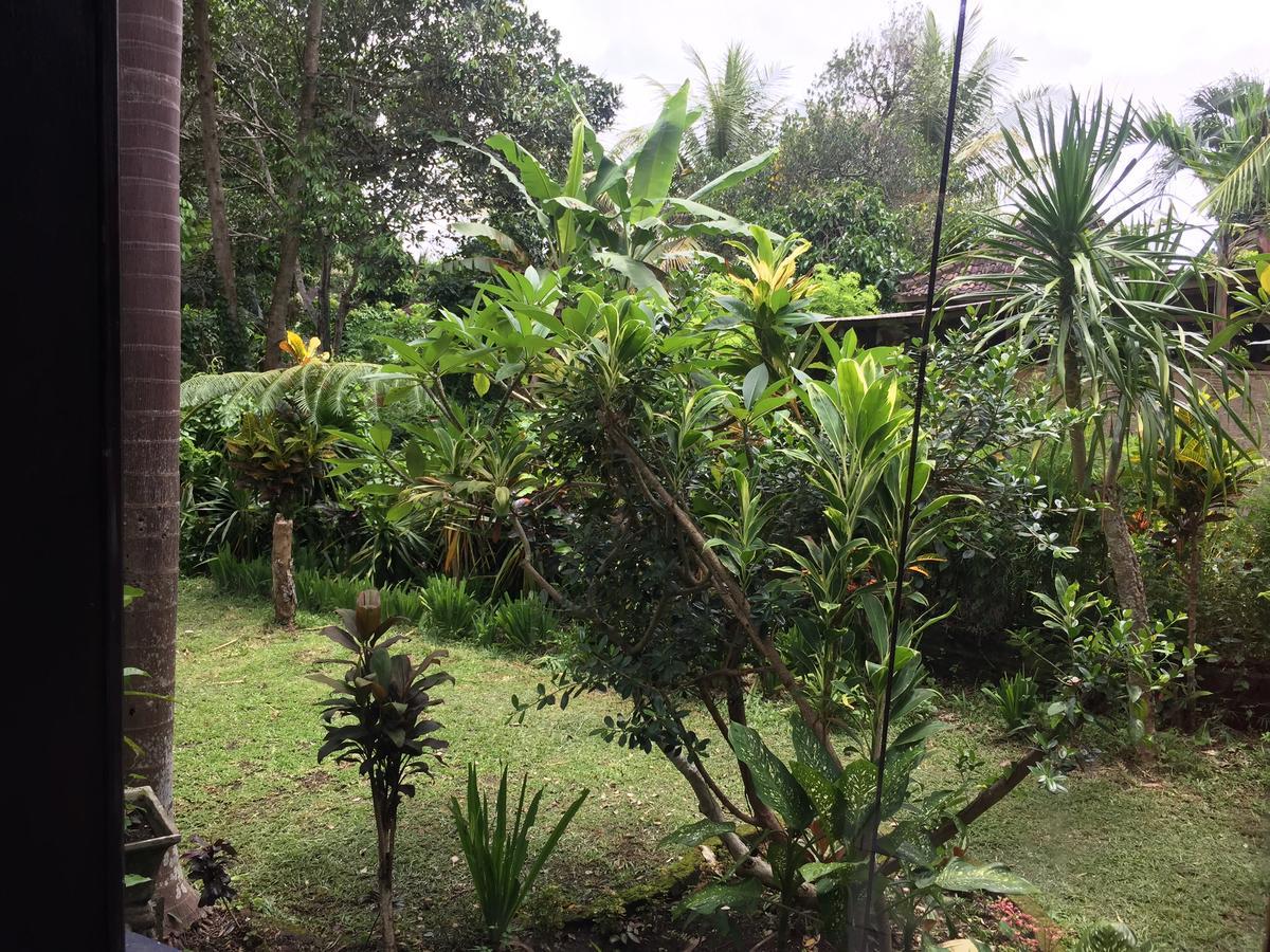Mahesa * Ubud