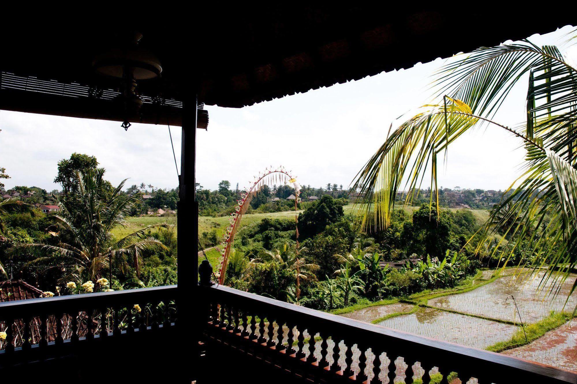 Gusti's Garden 2
