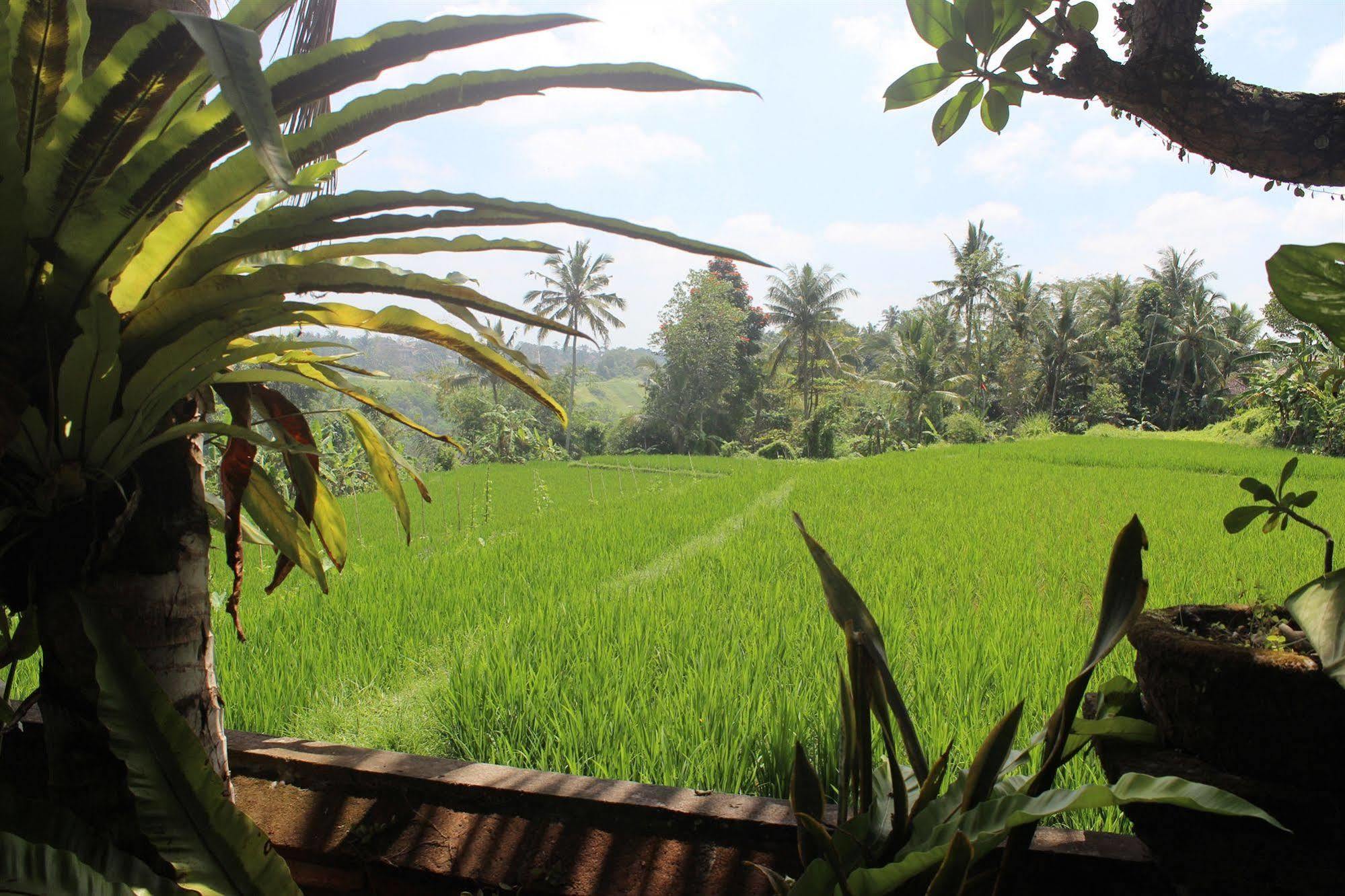 Gusti's Garden 2 Guest house Ubud (Bali)