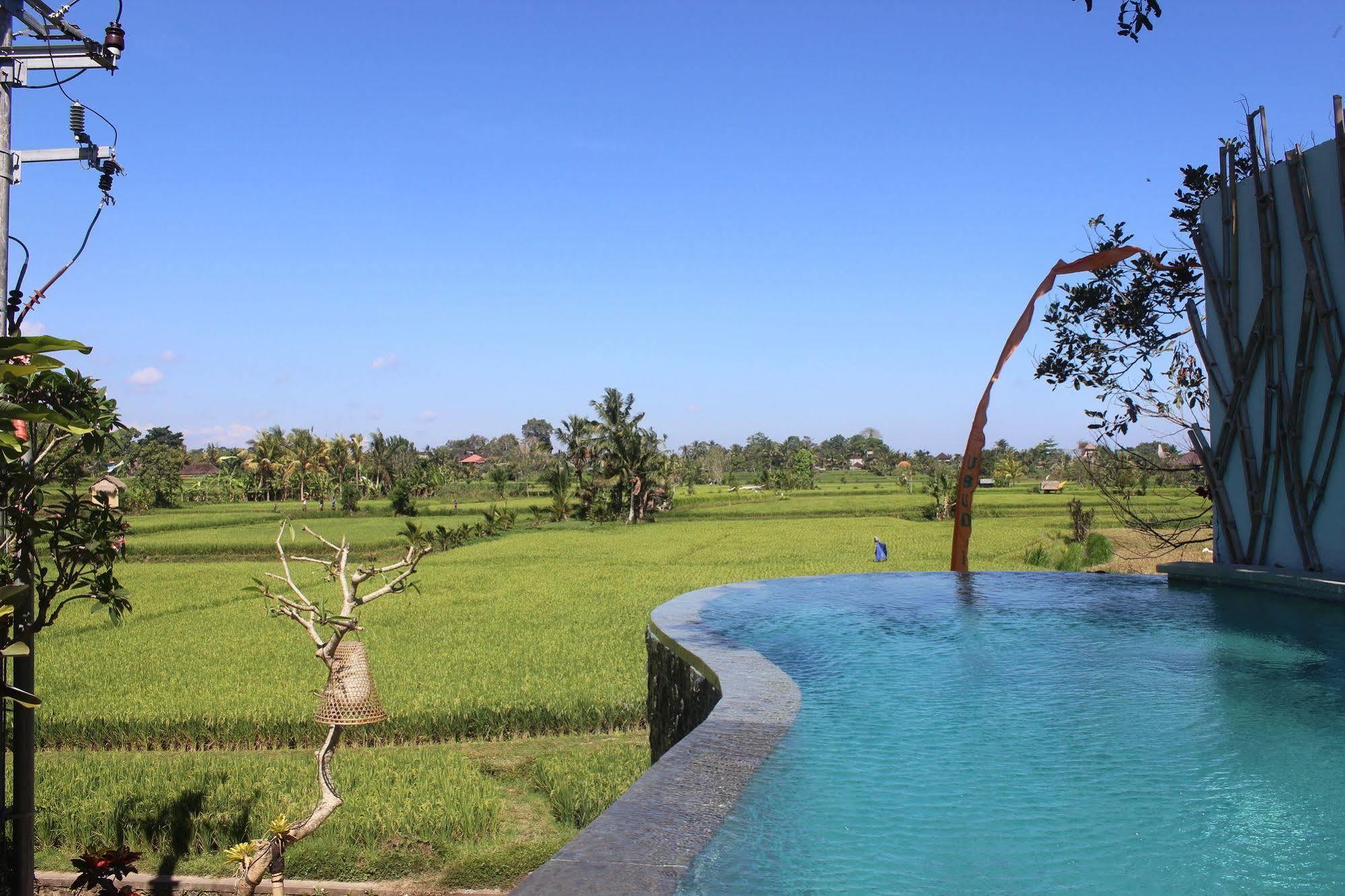 Villa Padi *
