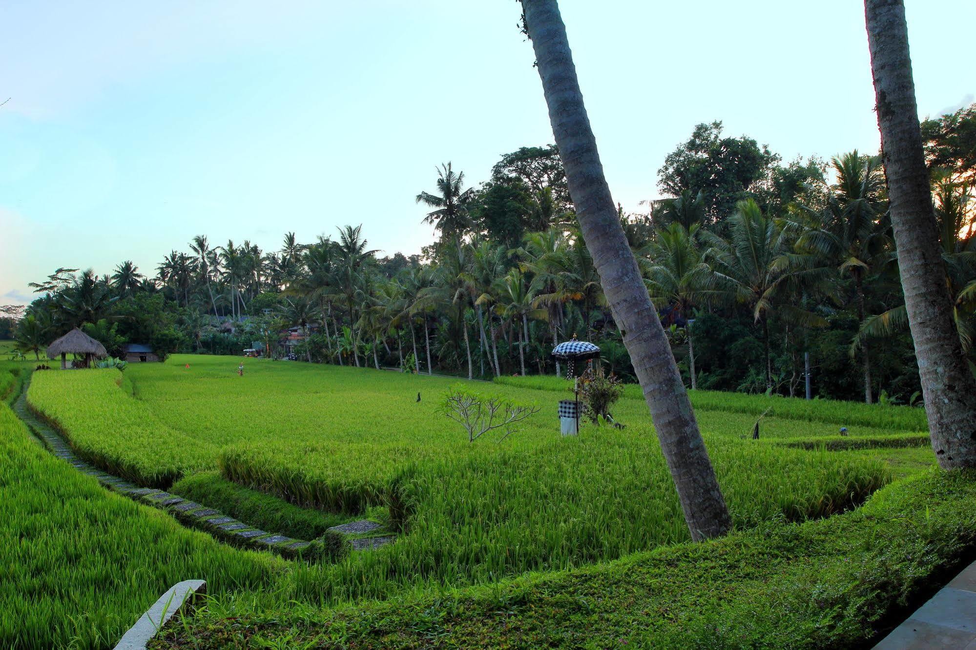Hotel Mathis Retreat Ubud